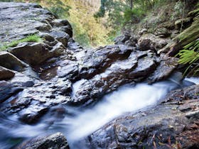 Casuarina Falls Circuit