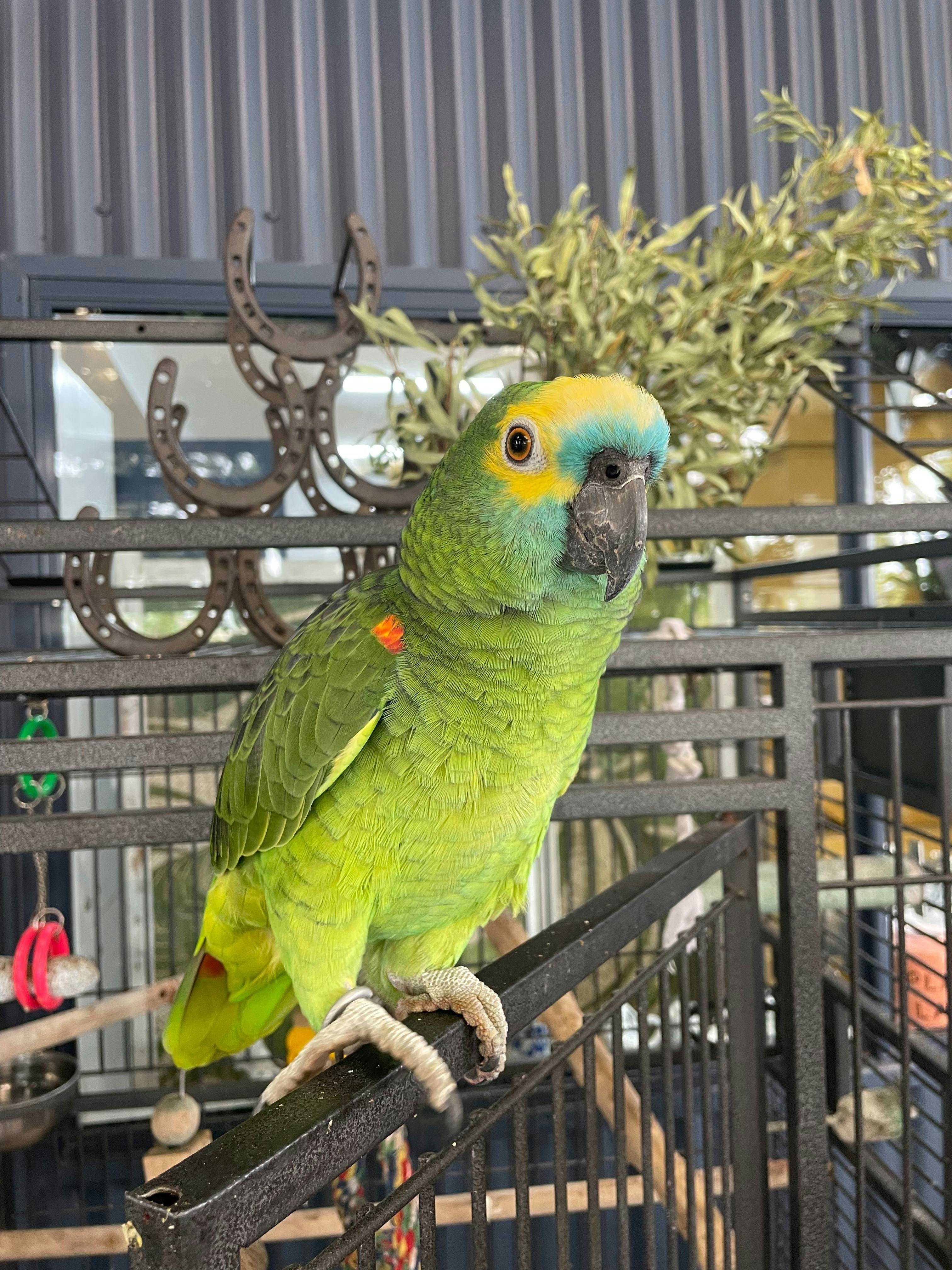 Whitsunday Gold Coffee