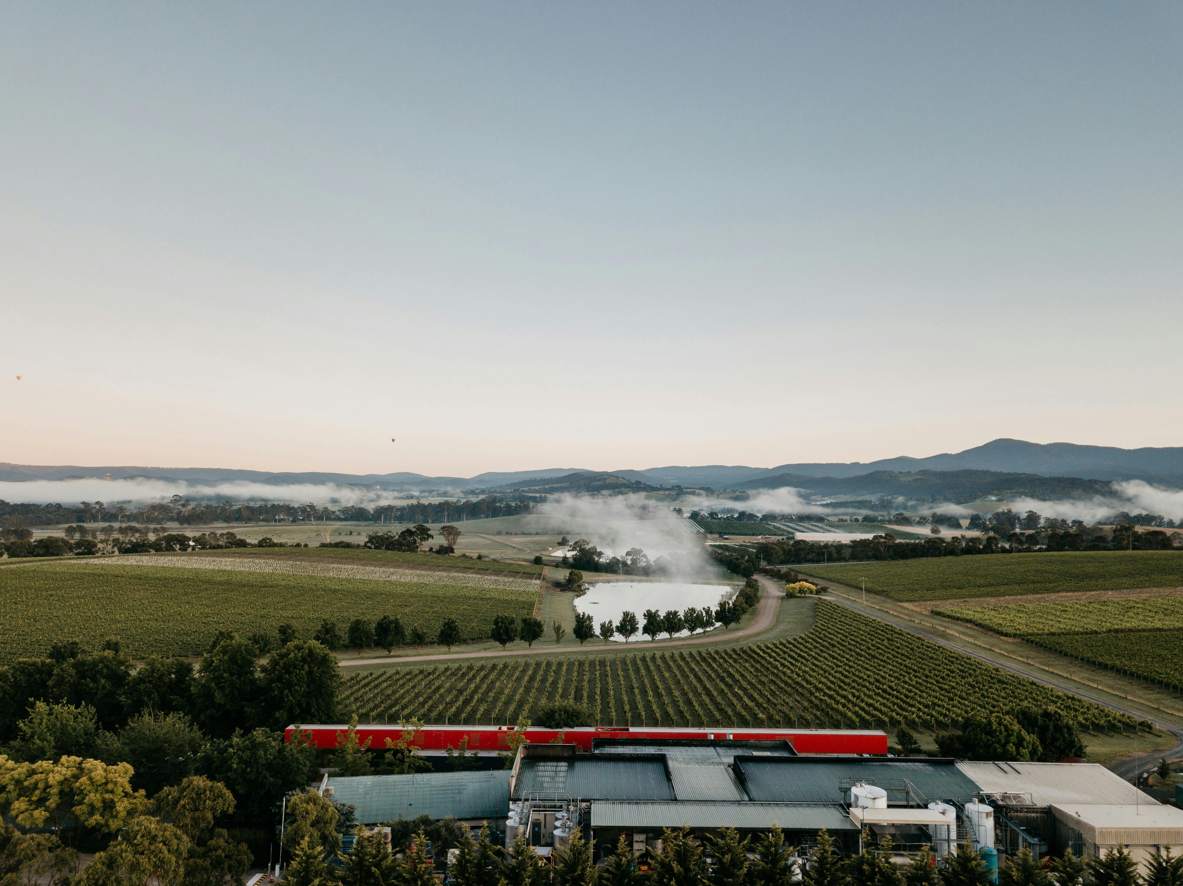 An aerial view of Oakridge wines cellar door & vineyard, looking towards the Dandenong Ranges