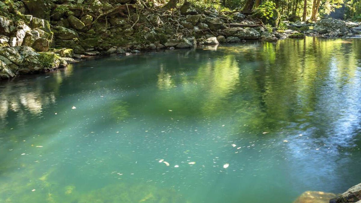 Gold Coast Hinterland Gold Coast Hinterland