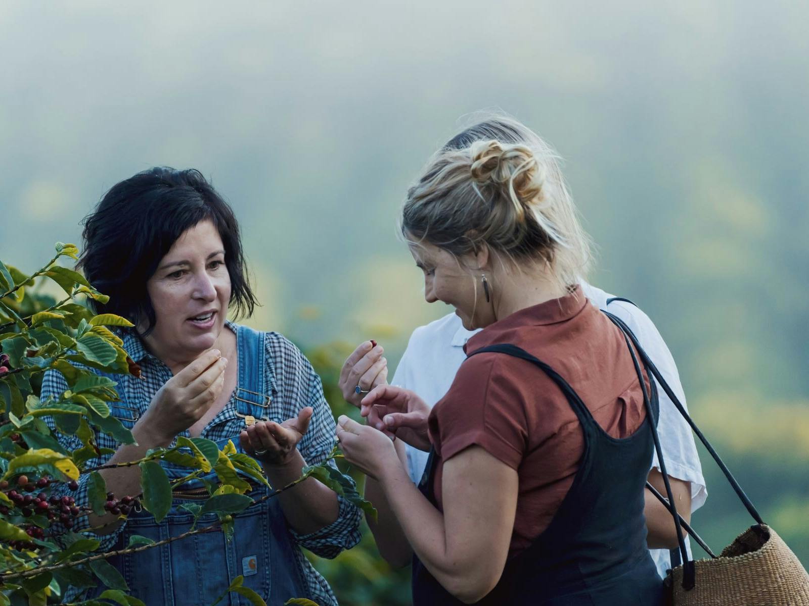 Smelling coffee beans