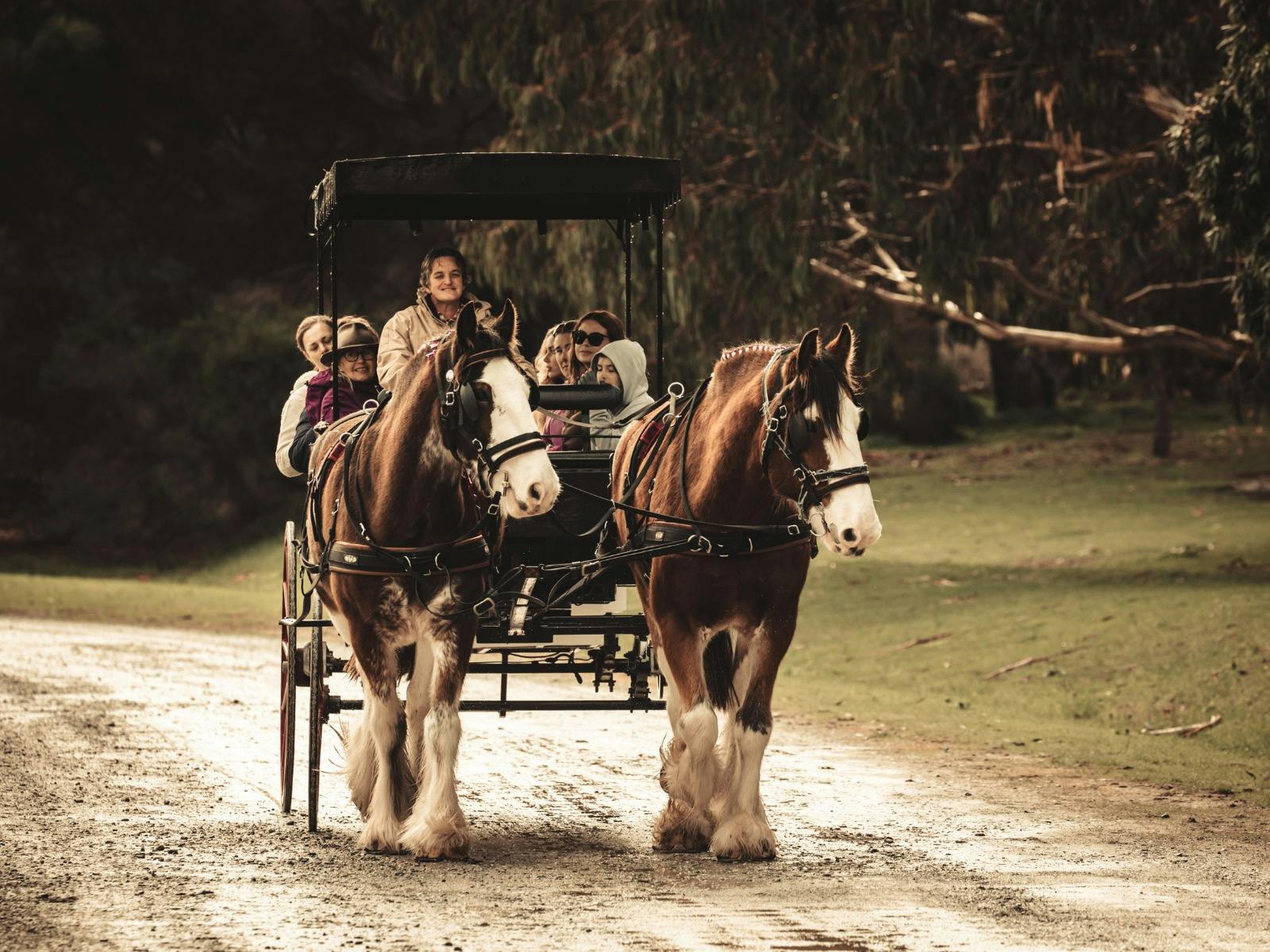 Horse Drawn Bear Hunt