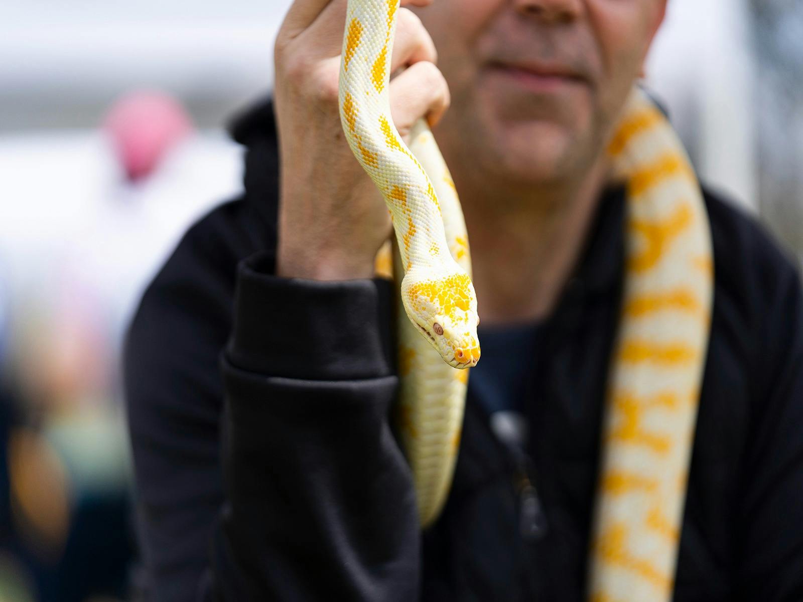 Blacktown Pet Festival