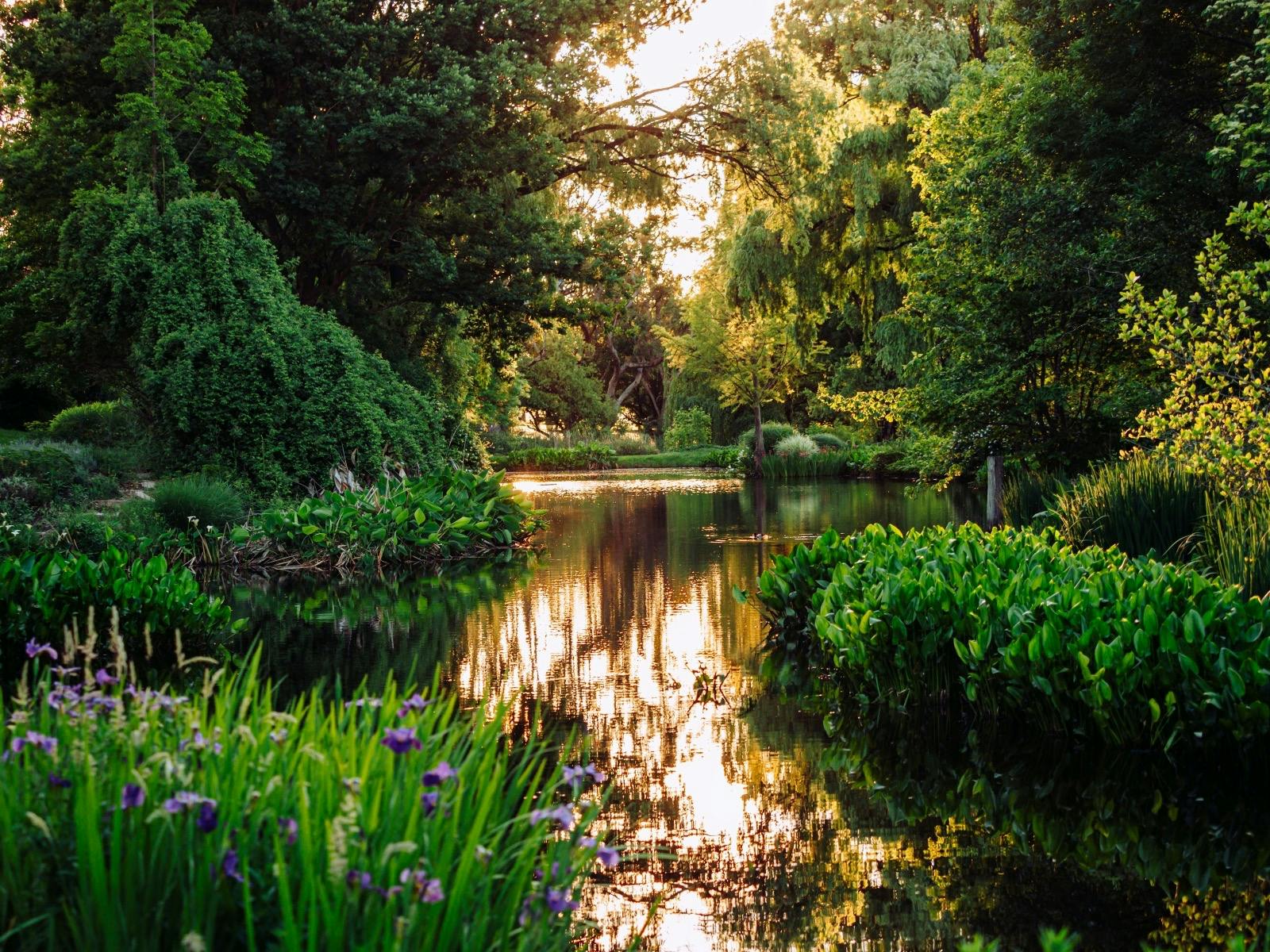 The Gardens