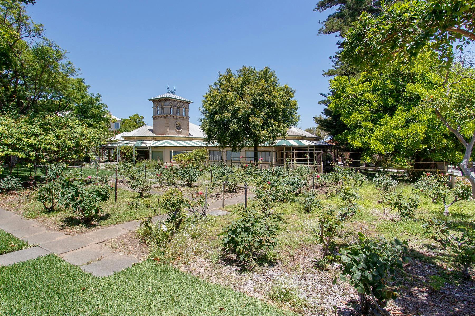 Rose gardens