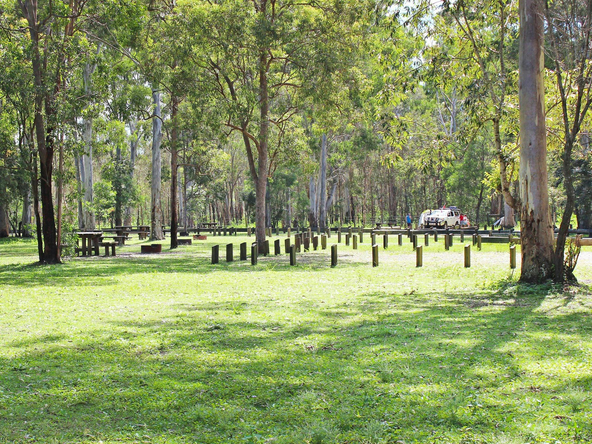 Grassy, shaded sites await you at Poverty Creek camping area.