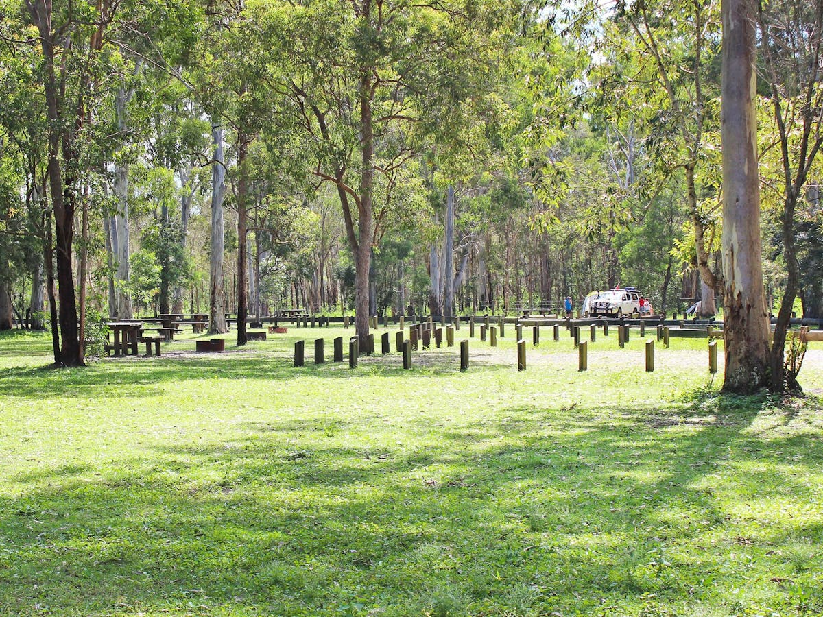 Shaded grassy campsites with fire rings and 4WD in the background.