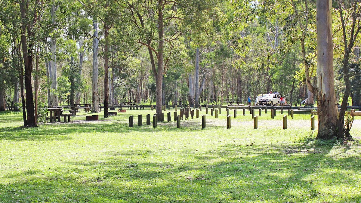Shaded grassy campsites with fire rings and 4WD in the background.