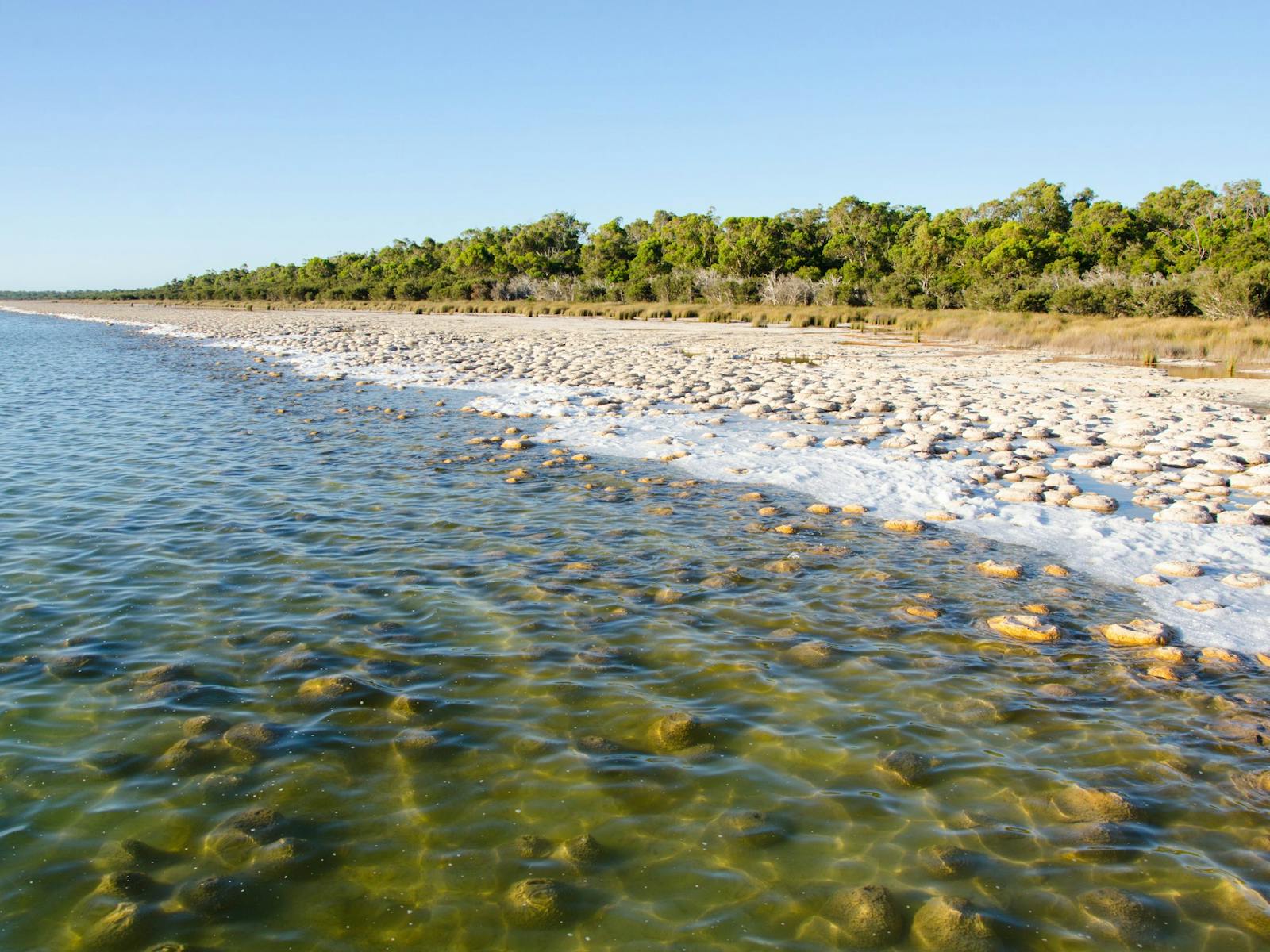 Yalgorup National Park
