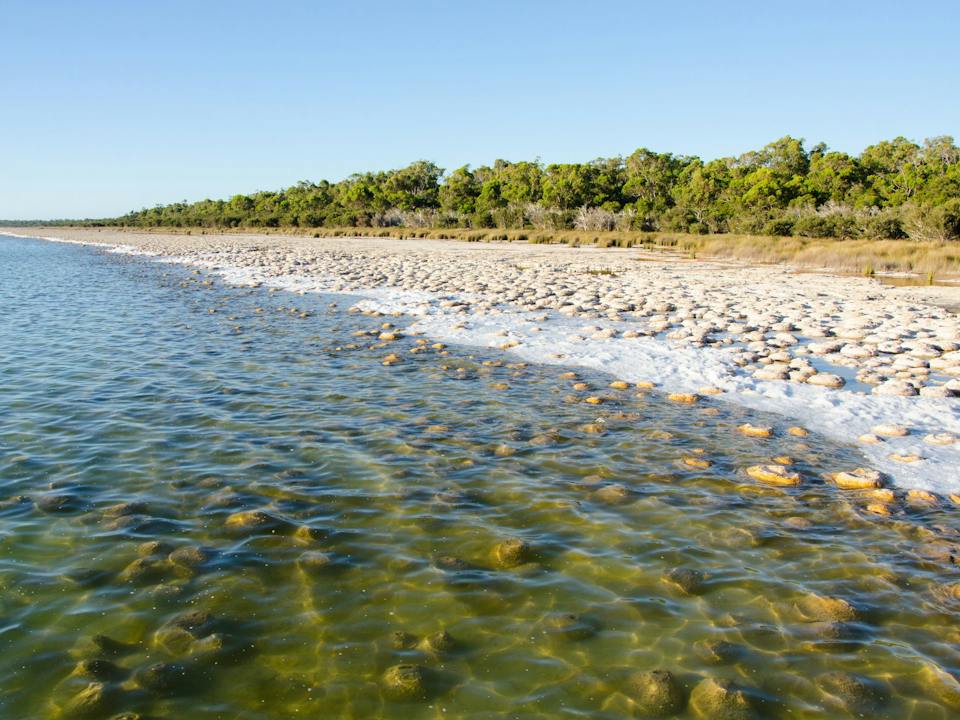 Yalgorup National Park
