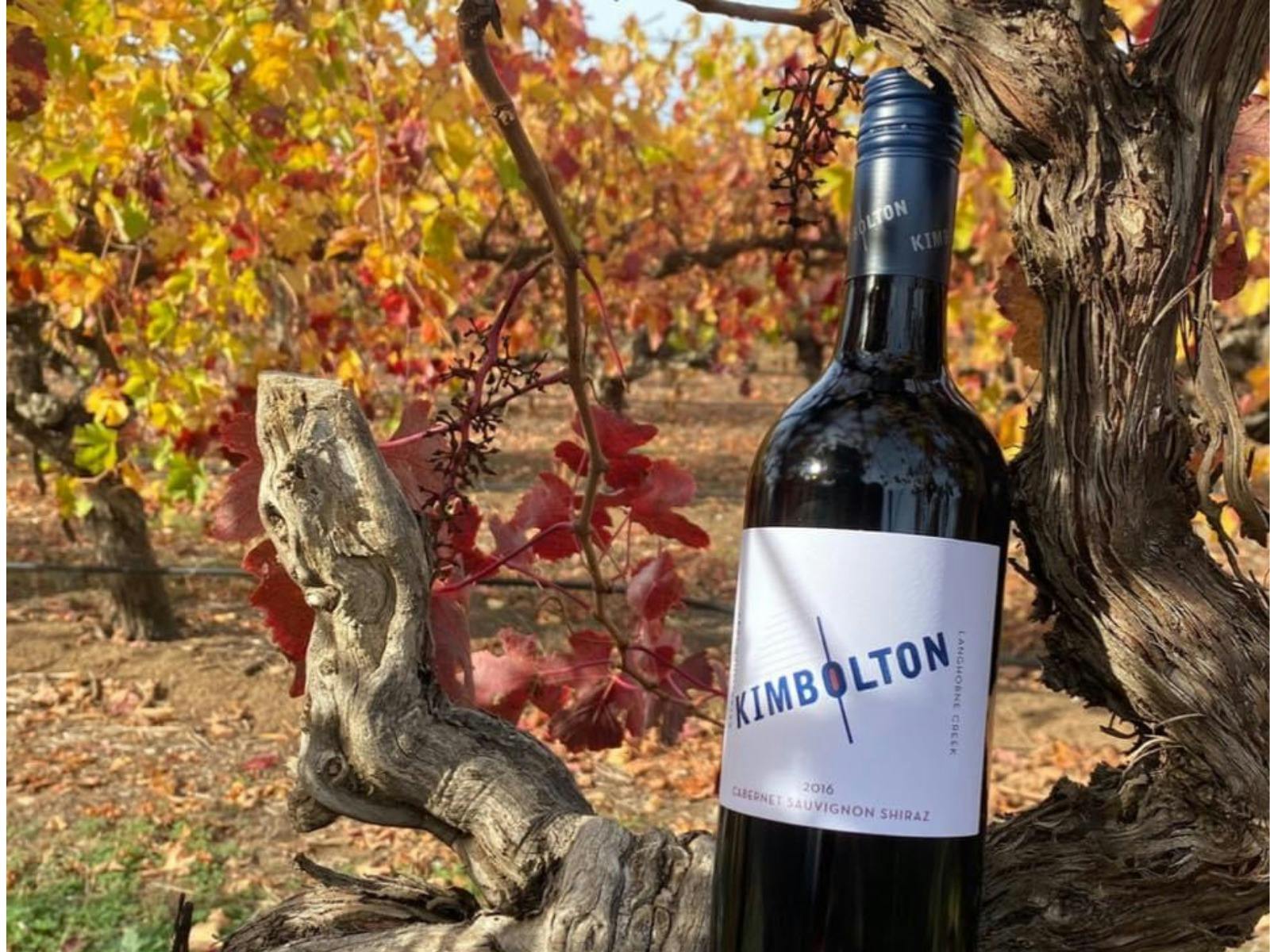 Autumn vines at Kimbolton wines