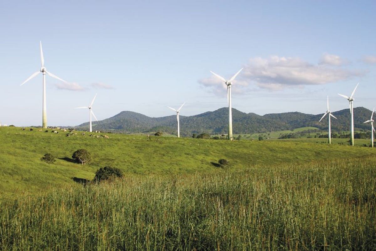 Windy Hill Wind Farm, Ravenshoe