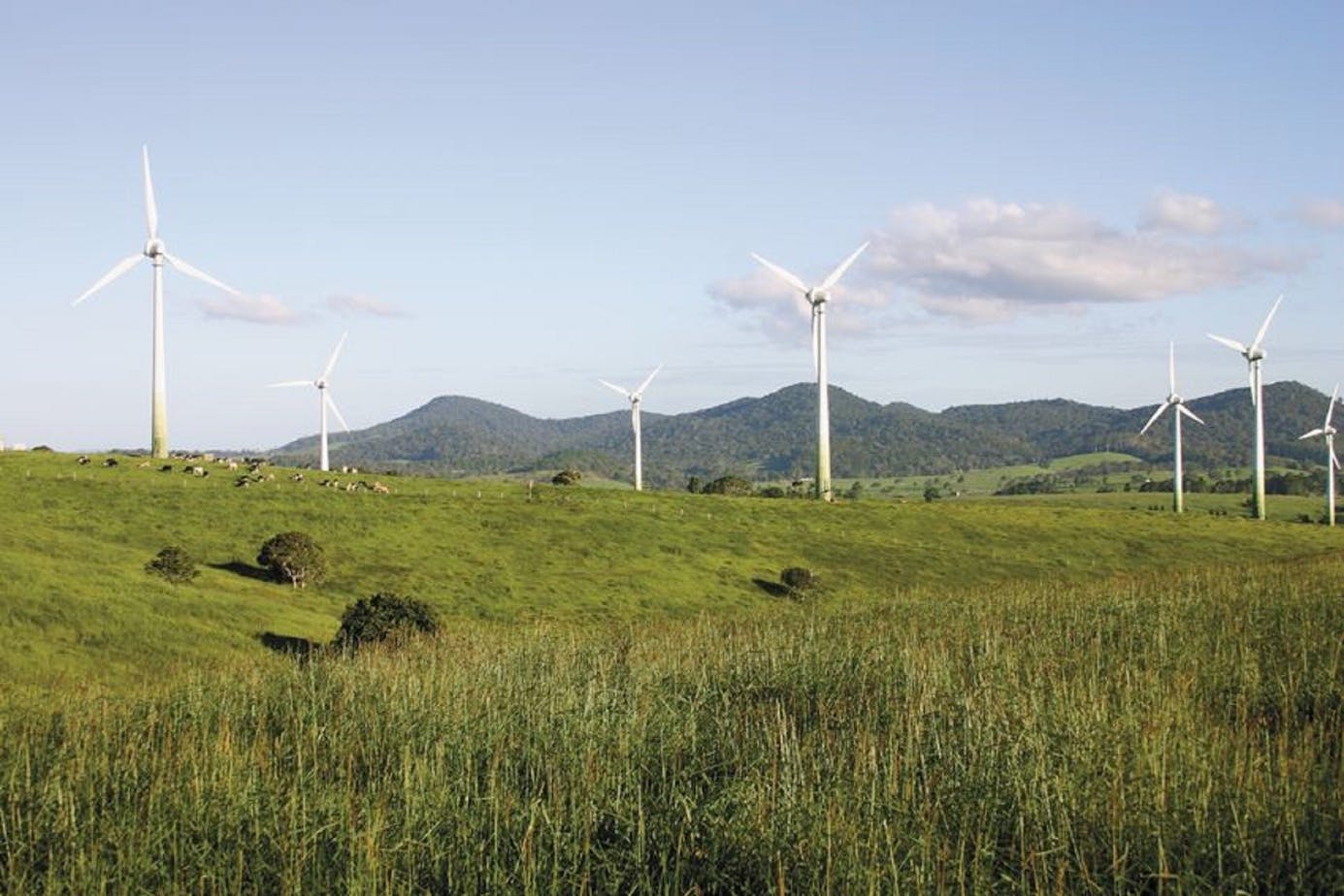 Windy Hill Wind Farm, Ravenshoe Cairns & Great Barrier Reef