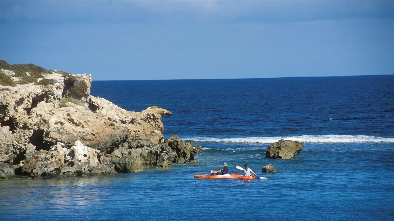Dynamite Bay, Green Head