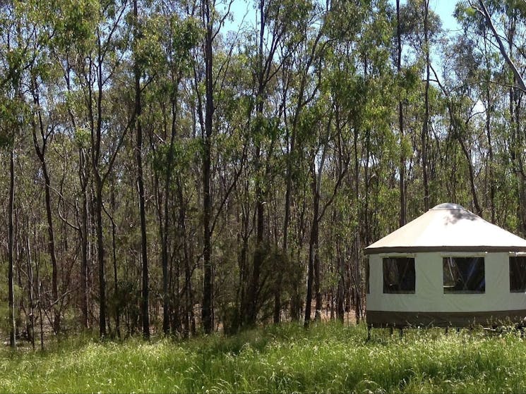 Glamping in the bush on the Murray River