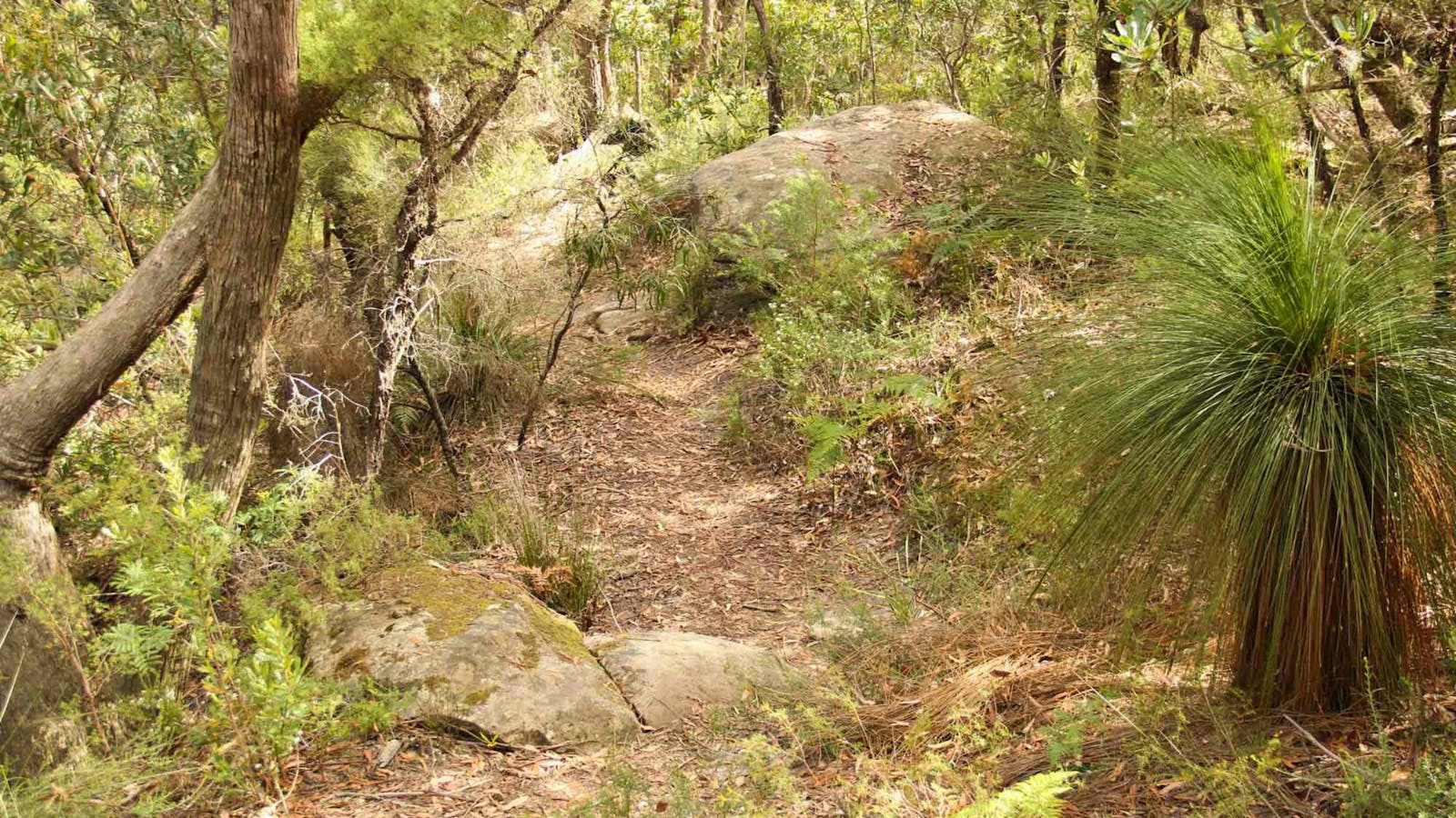 Mount Carnarvon Walking Track