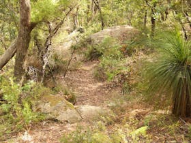 Mount Carnarvon Walking Track