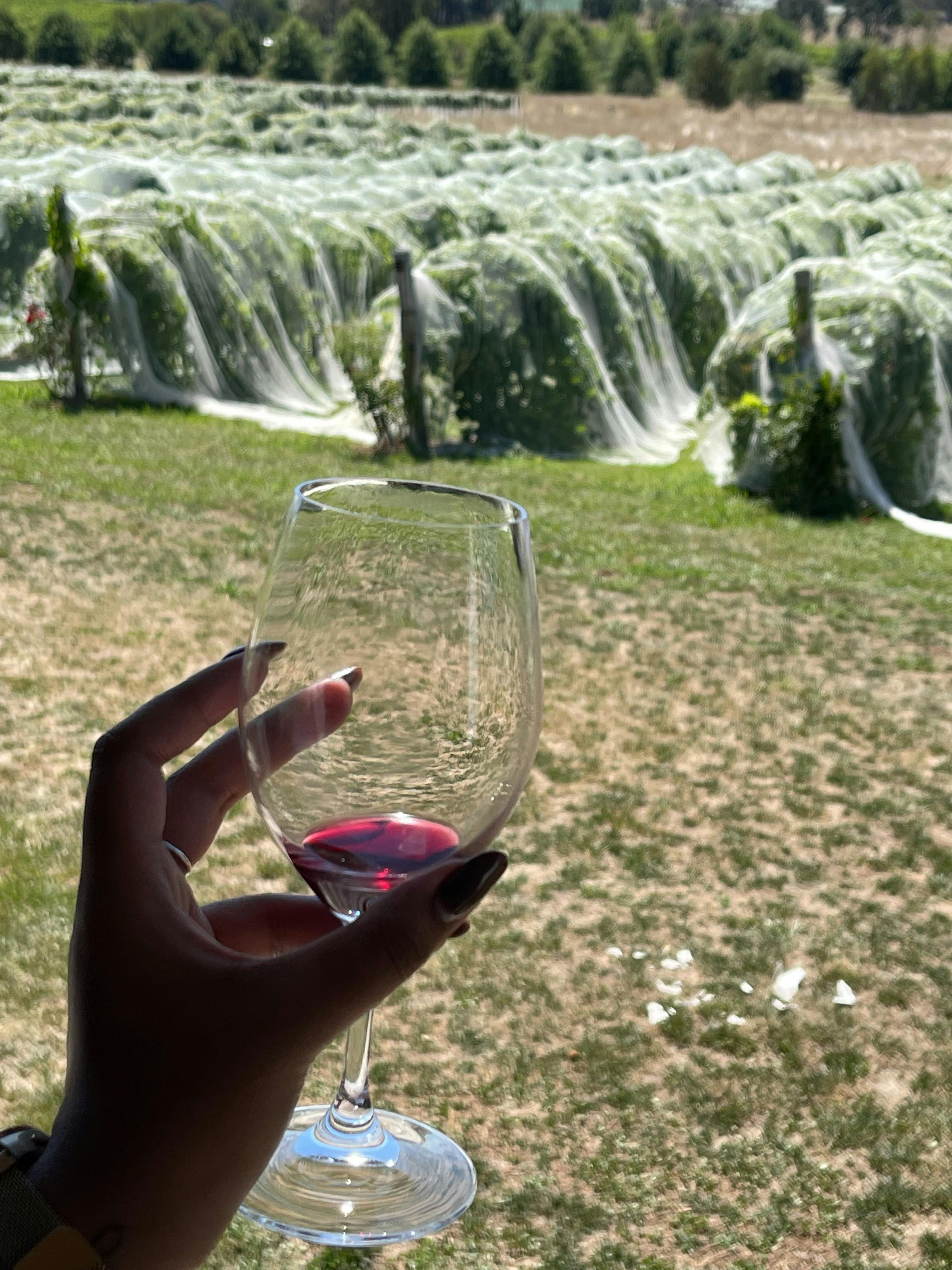 At  The Vintners Daughter