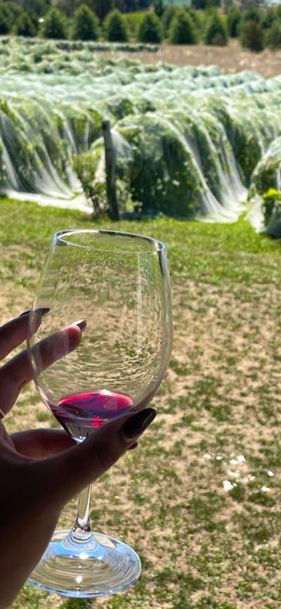 At  The Vintners Daughter
