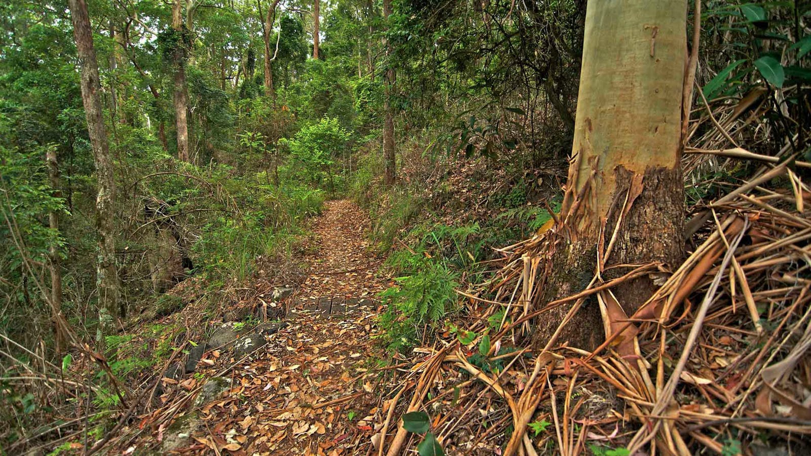 Border Loop Walk