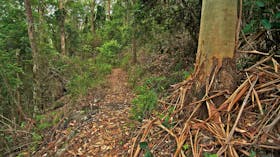 Border Loop Walk