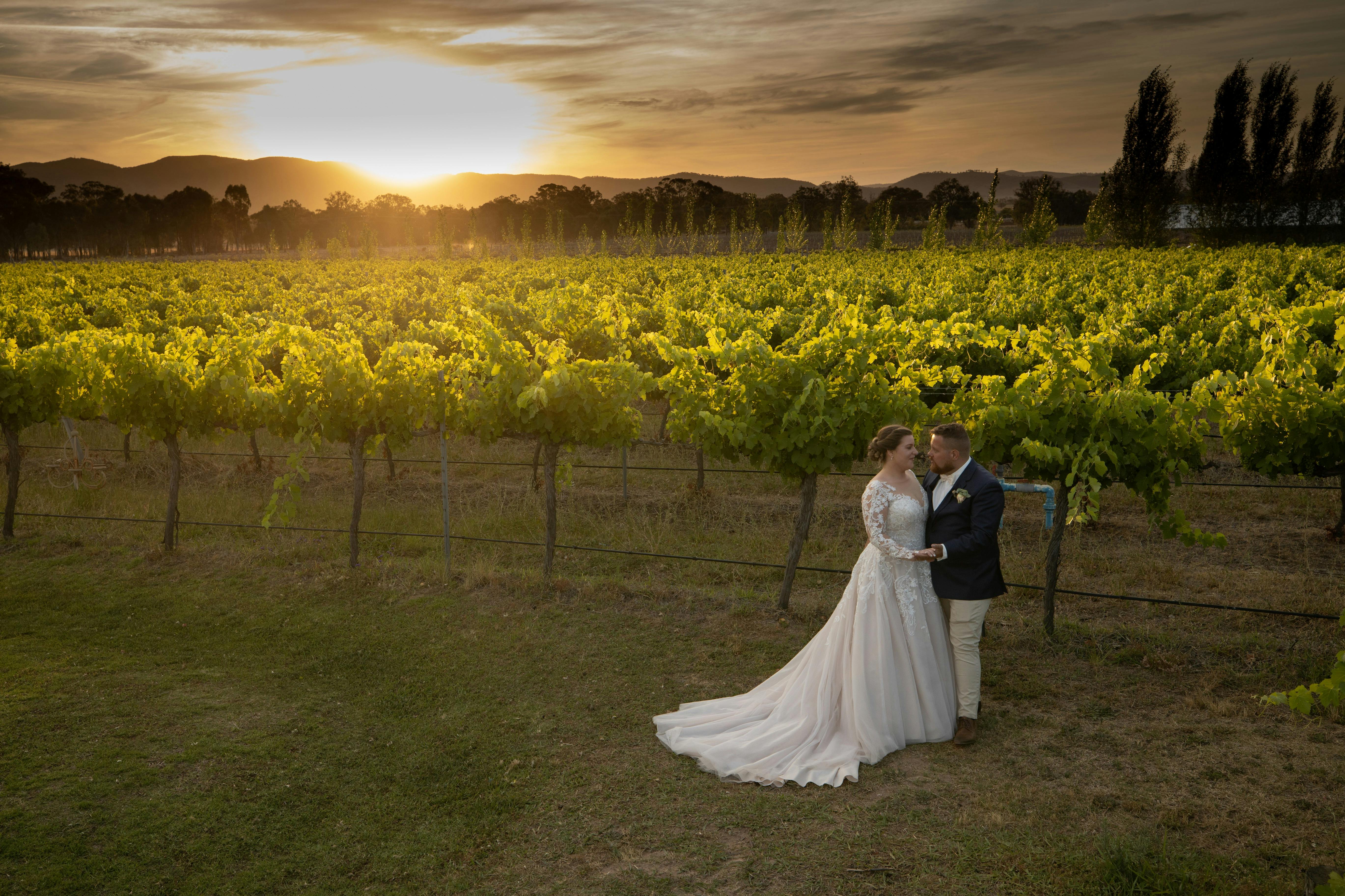 The Vinegrove - couple with vines and sunset