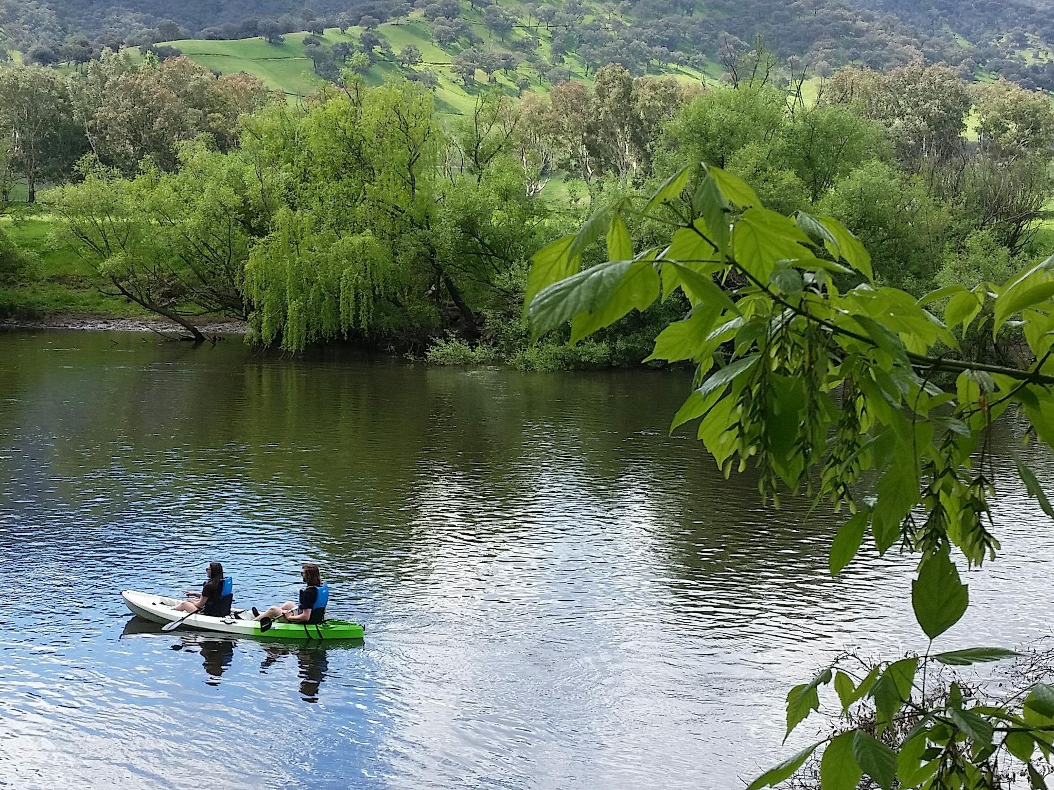 Kayaking on the Murray River