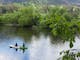 Kayaking on the Murray River