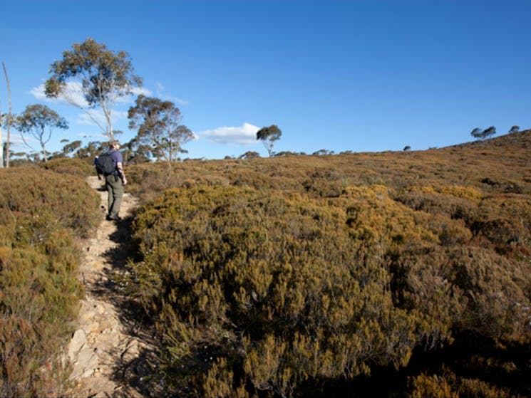 The Big Hole walking track