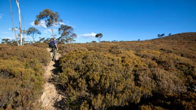 The Big Hole walking track