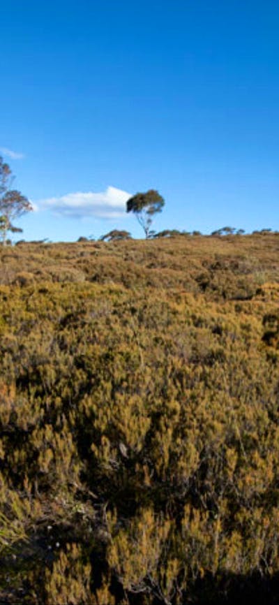 The Big Hole walking track