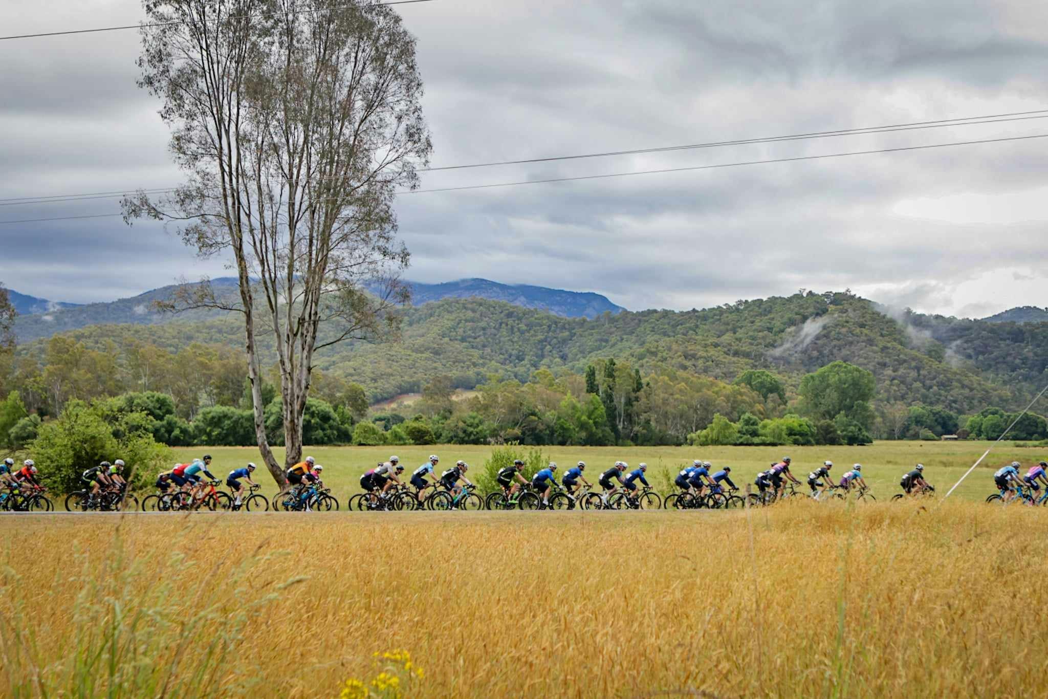 Tour of Bright Stage 1 Gaps Loop