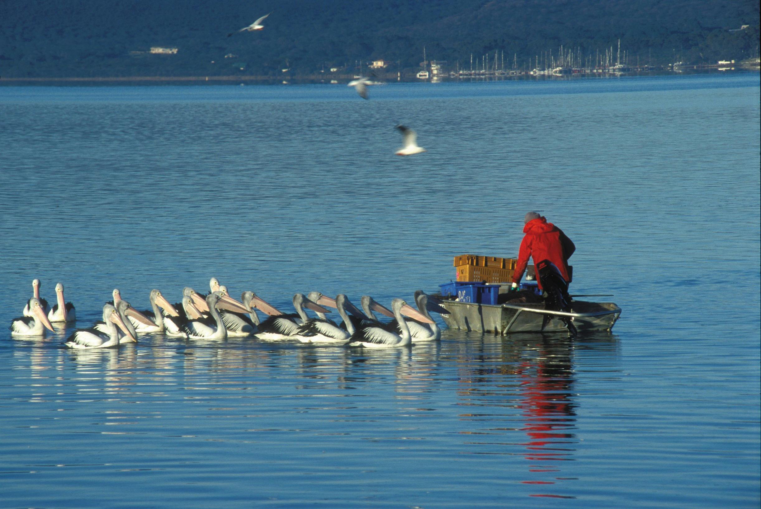 Princess Royal Harbour