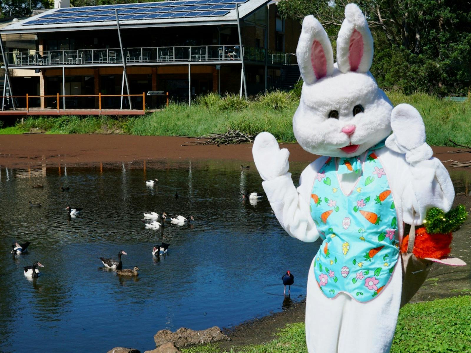 Easter Bunny by a lake at the Hunter Wetlands Centre