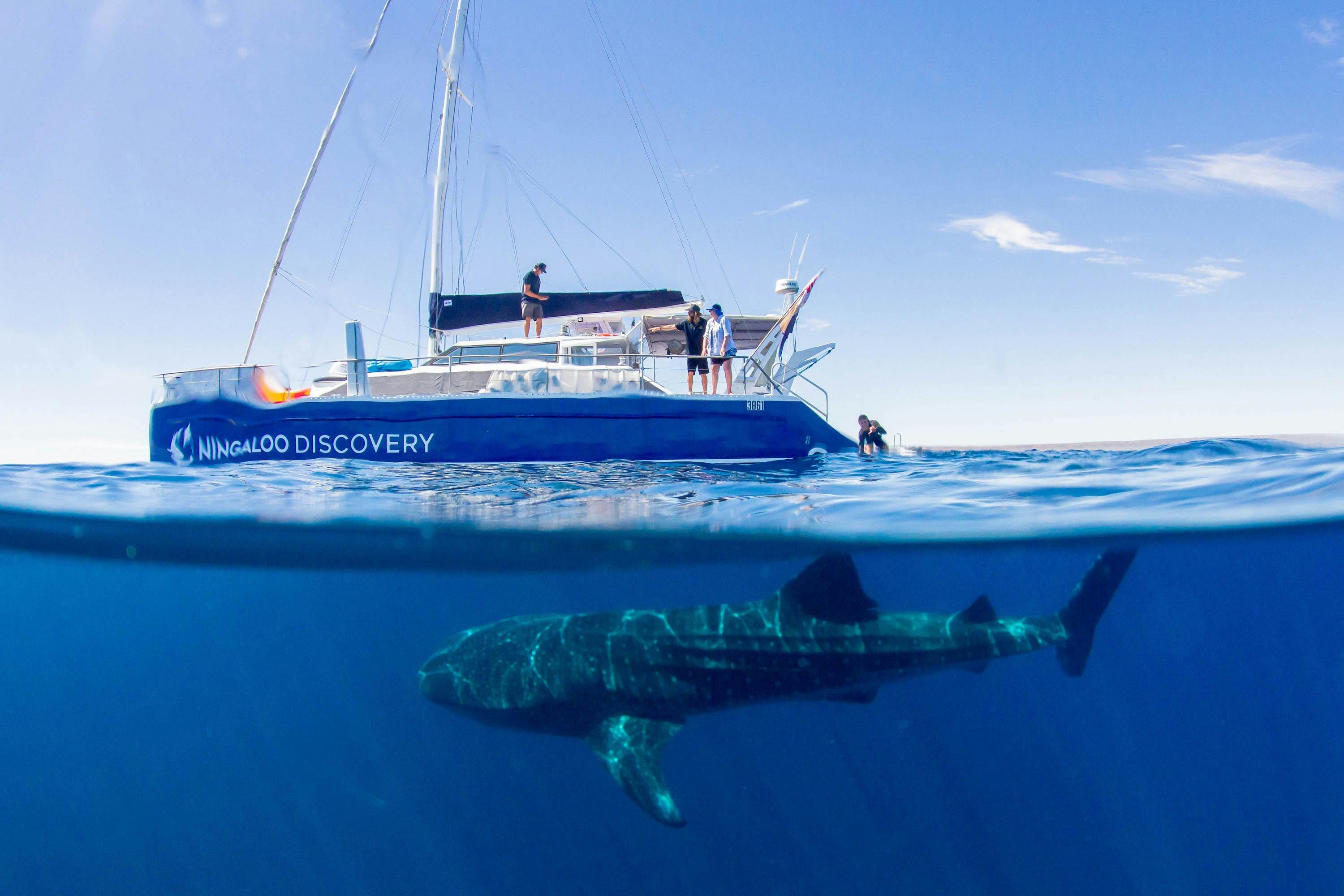 Ningaloo Discovery, Exmouth, Western Australia