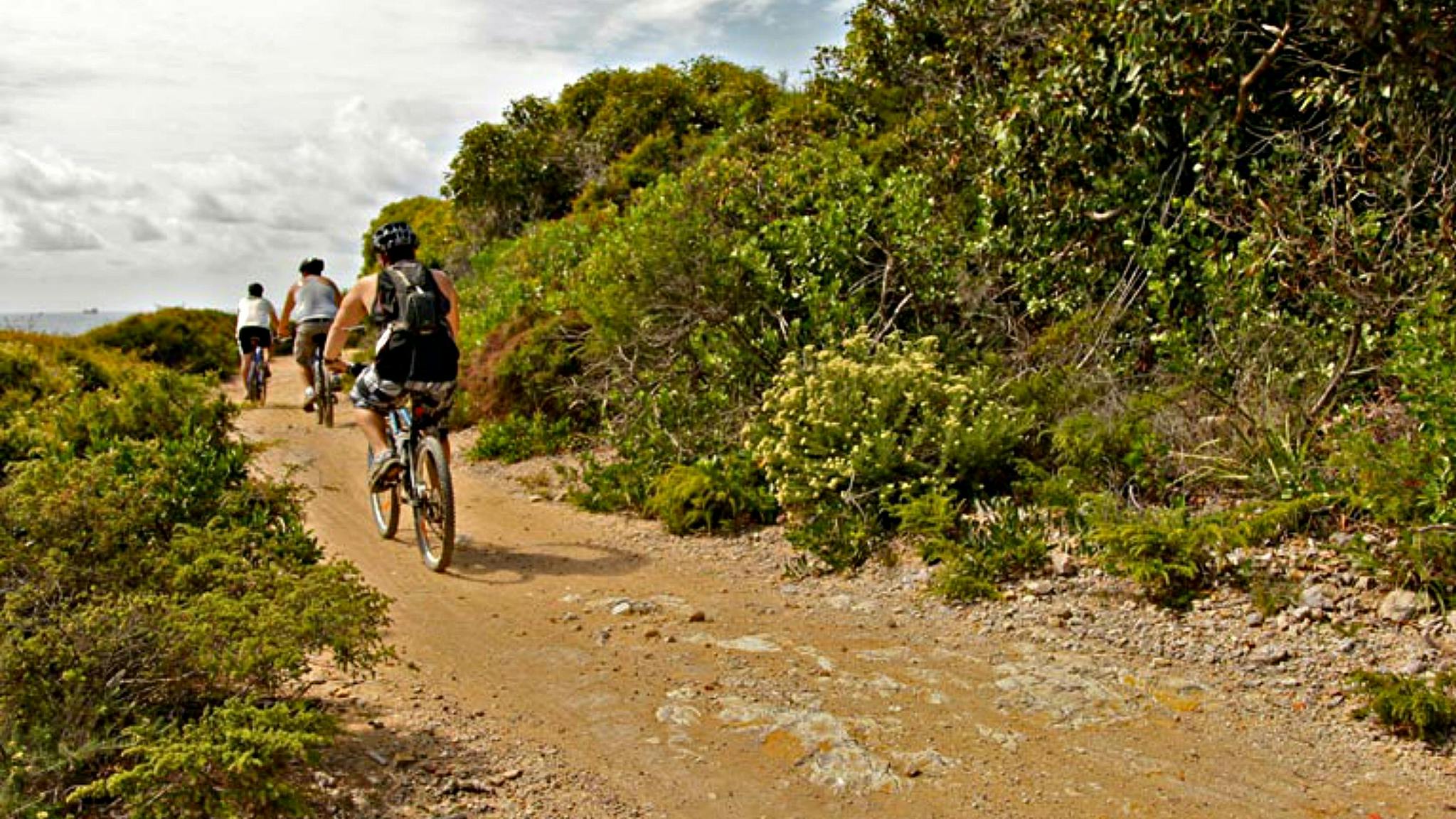 Bike riders on a Mountain bike trail, Glenrock State Conservation Area. Photo: Shaun Sursok