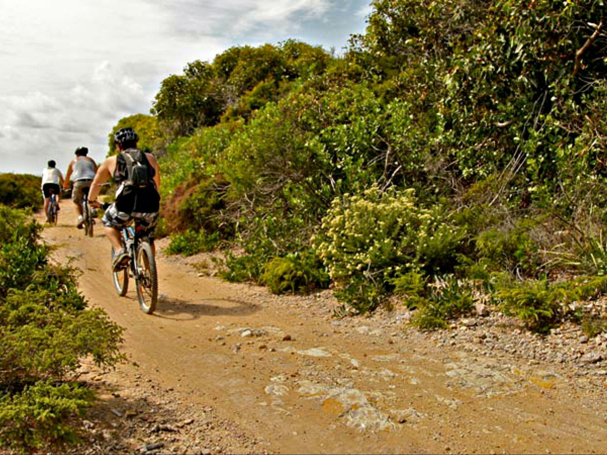 glen park mountain biking