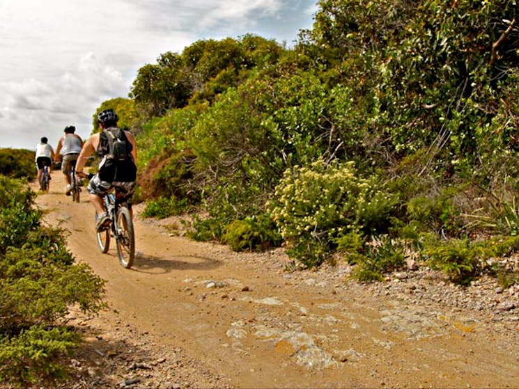 Bike riders on a Mountain bike trail, Glenrock State Conservation Area. Photo: Shaun Sursok