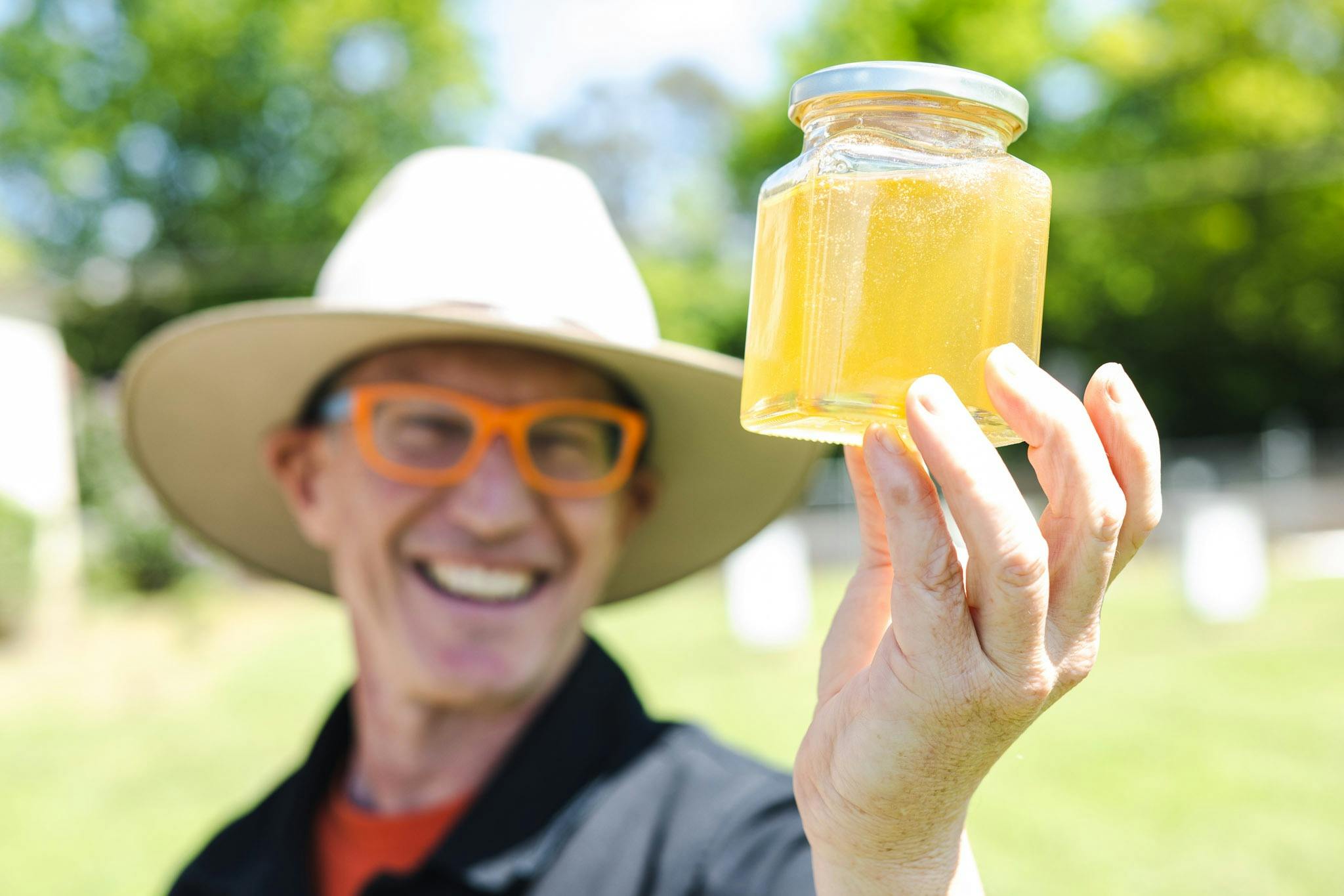 HoneyLand - Festival of Bees, Honey and Beekeeping
