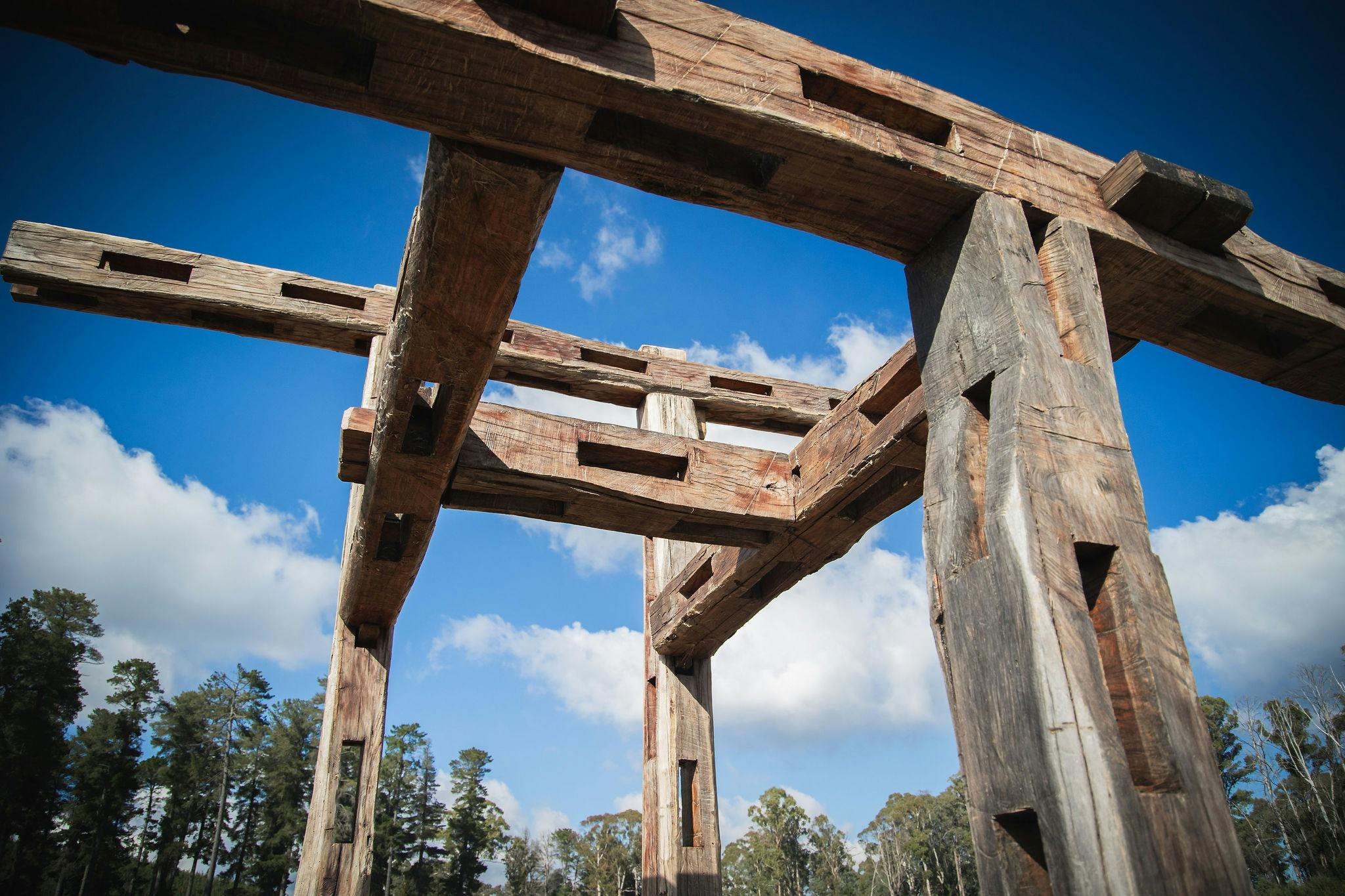 Scultpure in Pilot Hill Arboretum