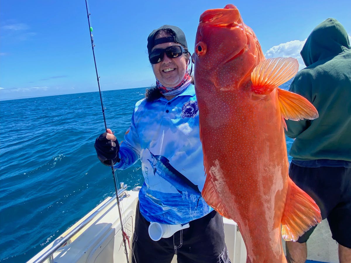 coral trout