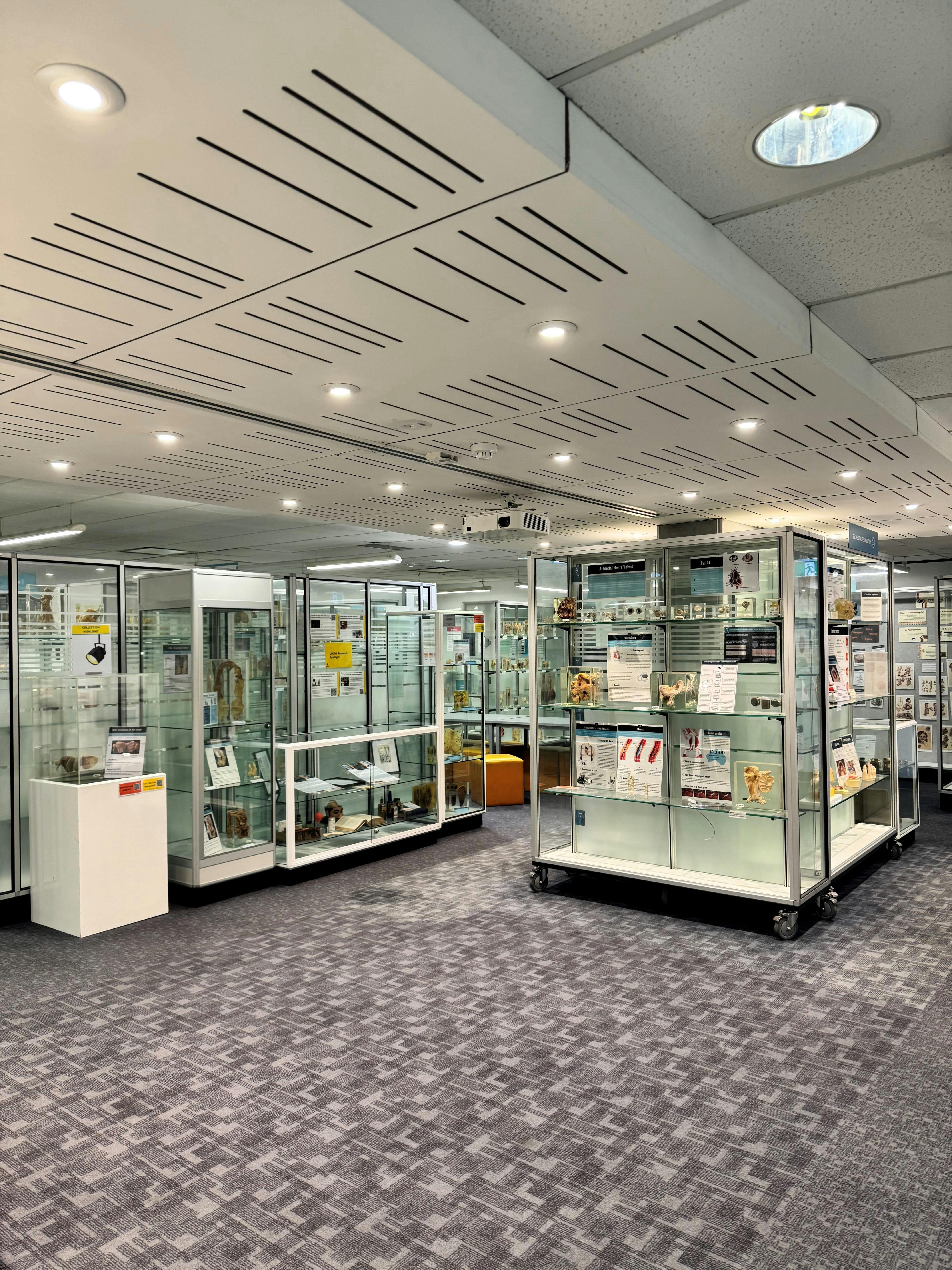 Museum of Human Disease