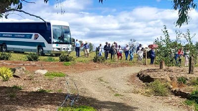 Couch tour arriving for lunch and eucalyptus oil distillery demonstration plus product shopping