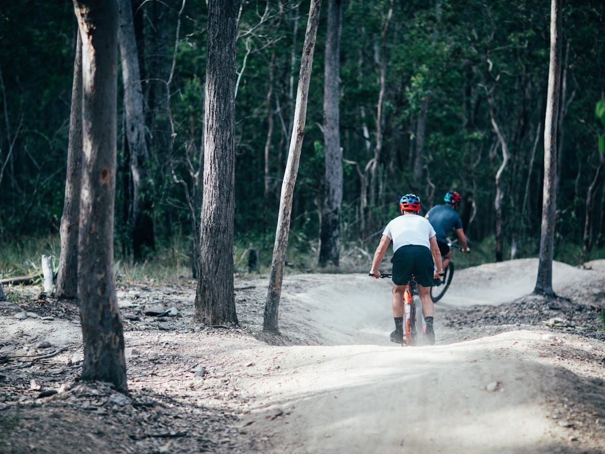 Nerang Mountain Bike Trails Attraction Queensland