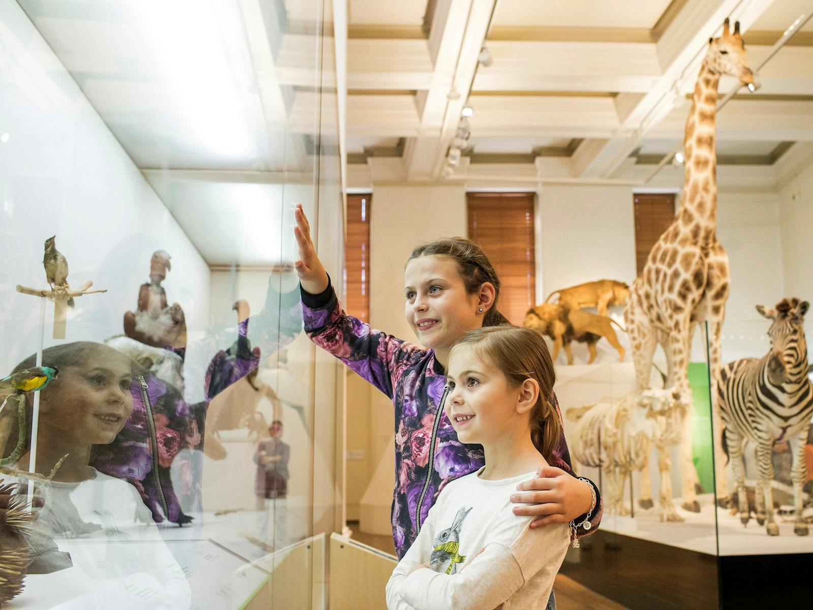 Australian Museum