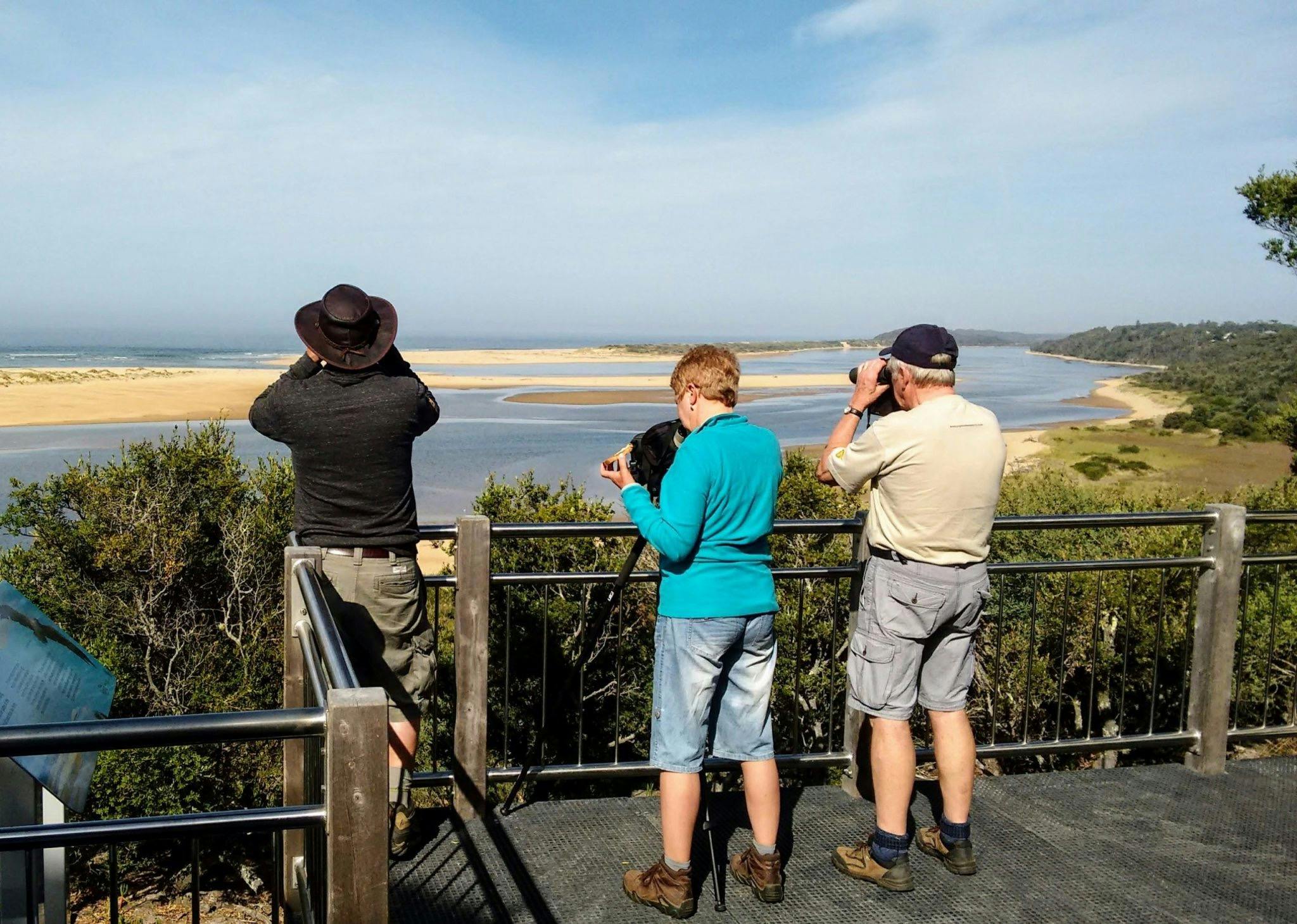 Birdwatching at the Snowy River mouth