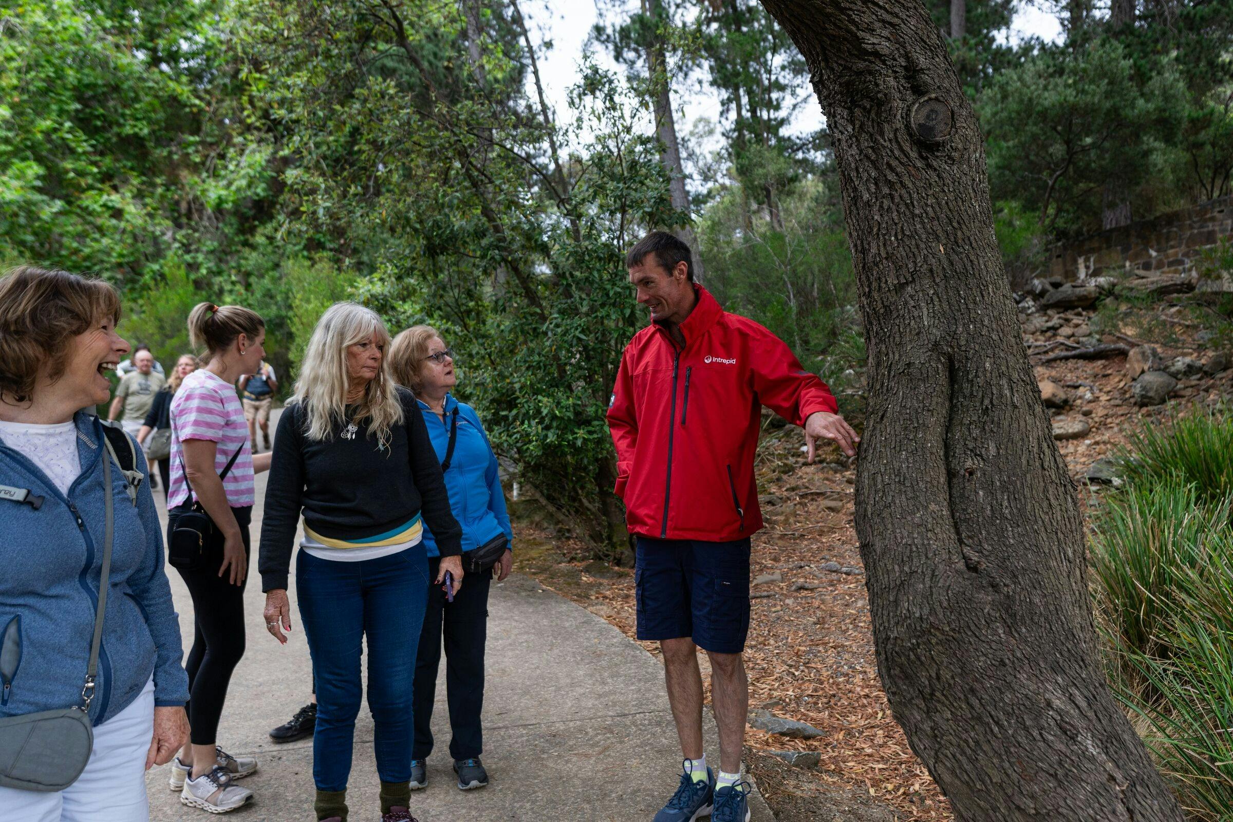 Walk Tasmania's Tarkine & Cradle Mountain