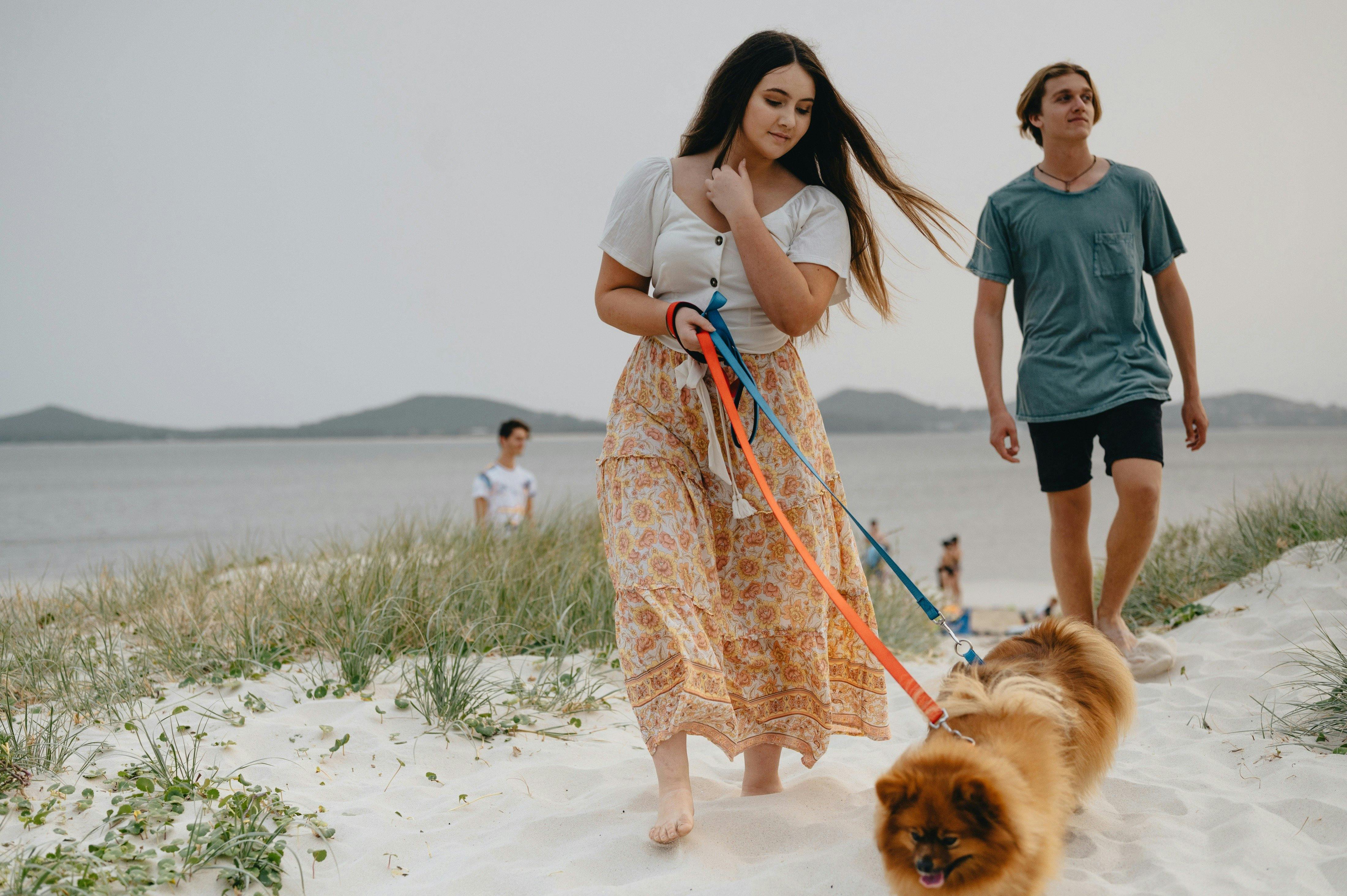 大自然从未如此美好