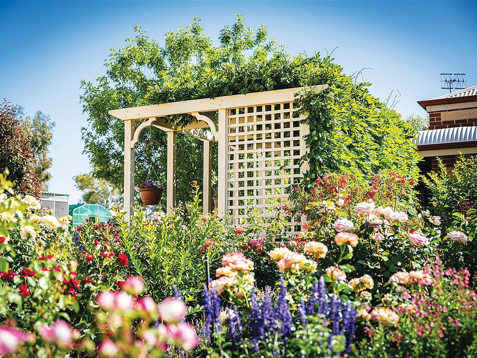 Riverland Rose and Garden Festival - Open Gardens
