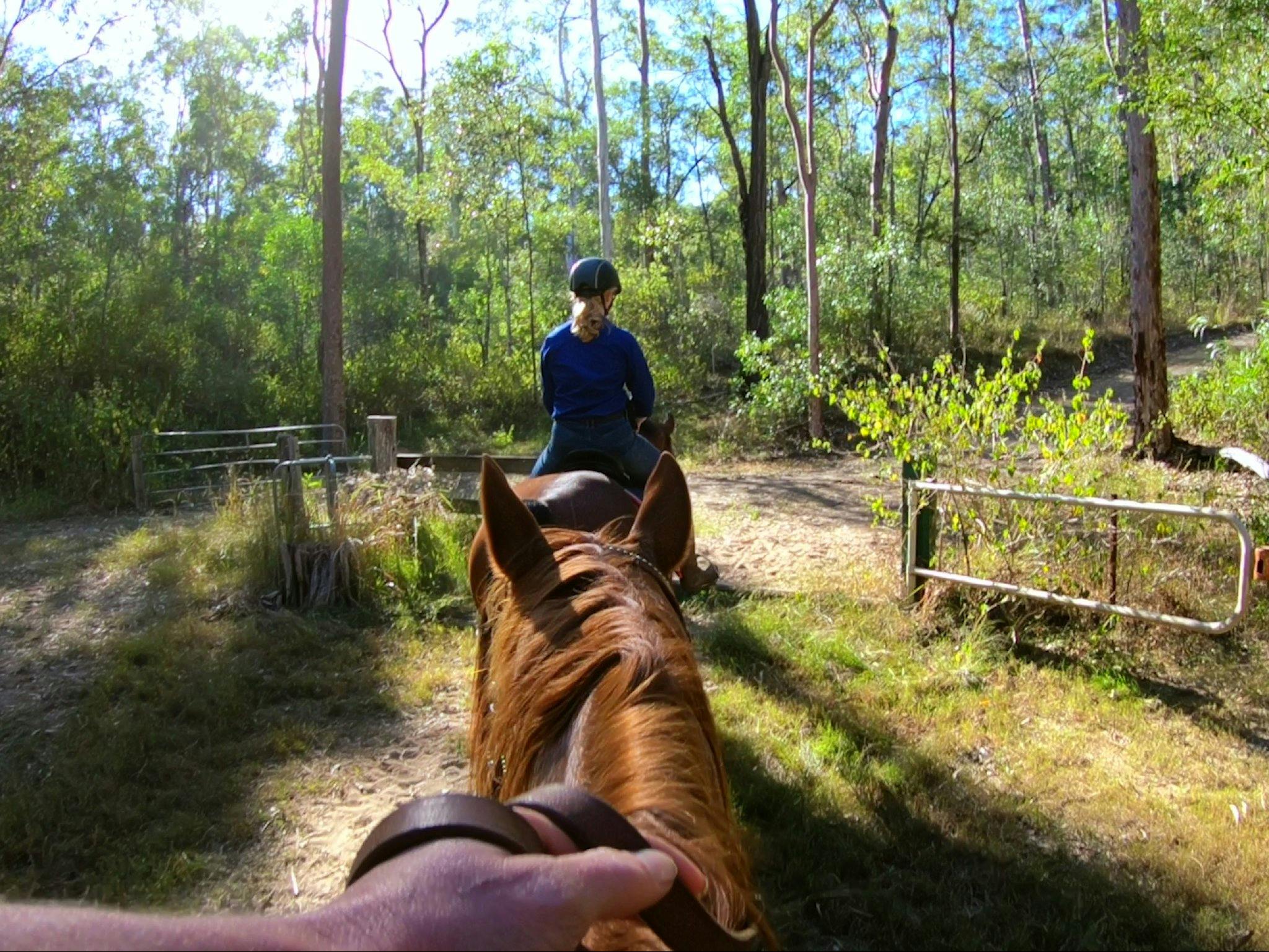 Goolman lookout trail